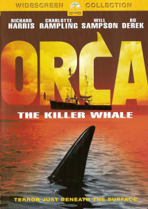Ocra the killer whale
